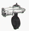 Pneumatic Actuators.gif (118393 bytes)